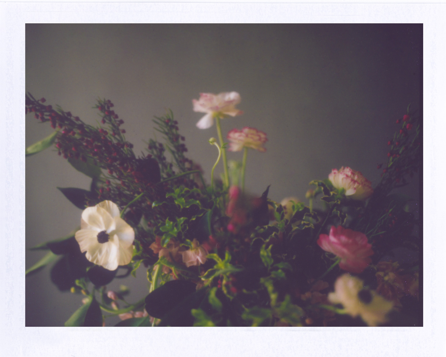 Flowers still life | Photographer using Polaroid