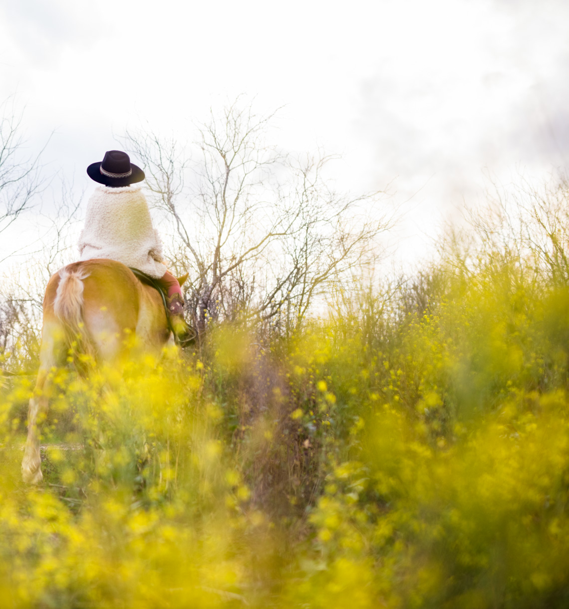 Horseback riding in wildflowers | Visual Storytelling Photographer