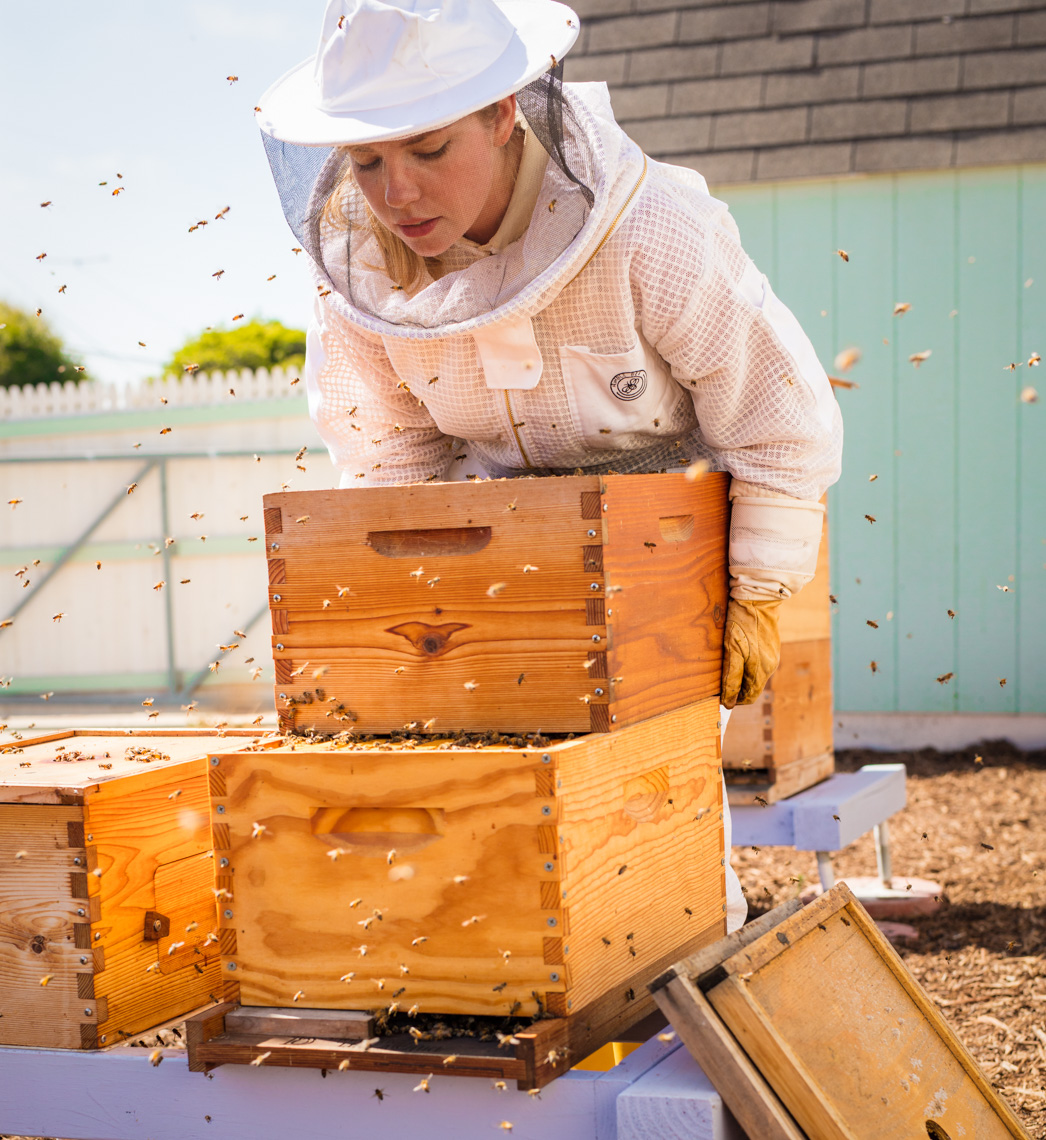 Beekeeper opening a hive | Commercial Lifestyle Photographer