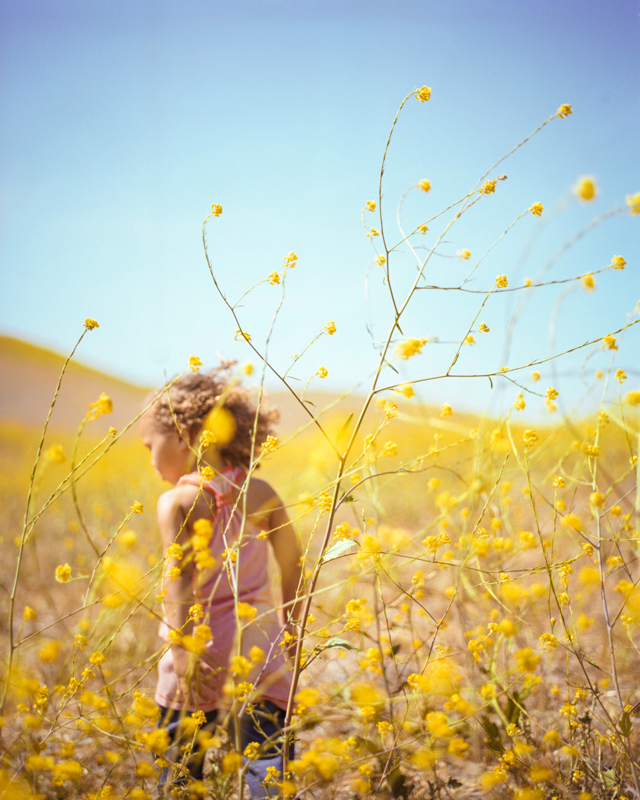 Child exploring wildflowers | Kids Lifestyle Photographer