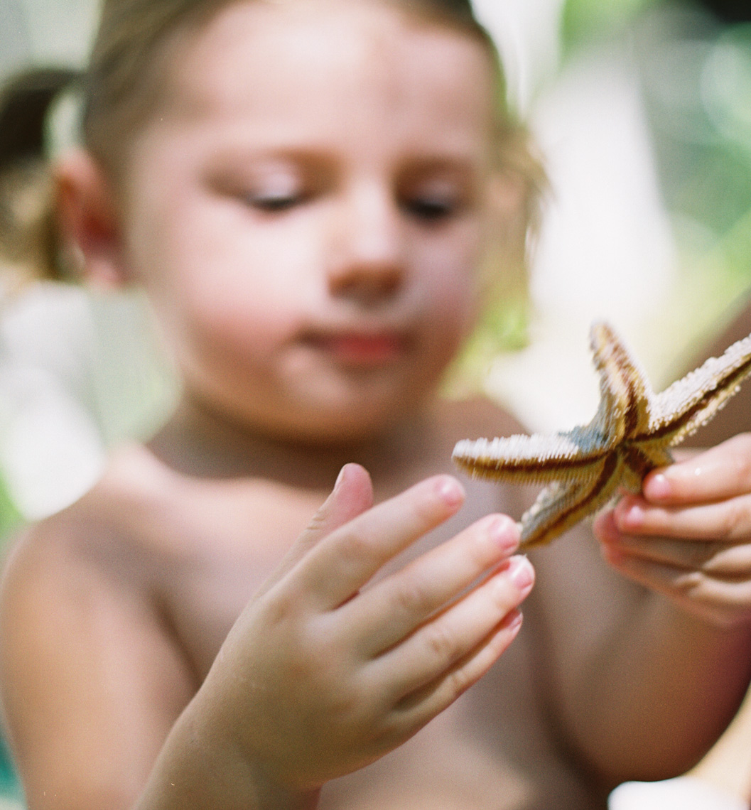 Gazing at starfish | Kids Lifestyle Photographer