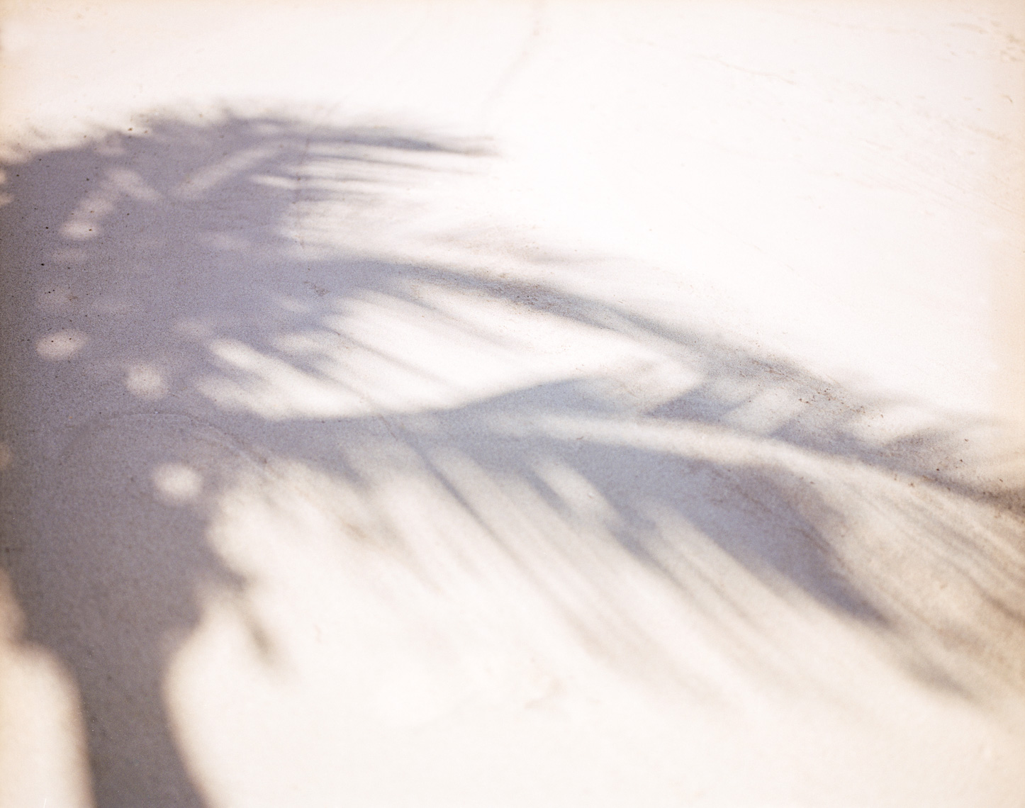Palm tree sand shadow | Travel Editorial Photographer