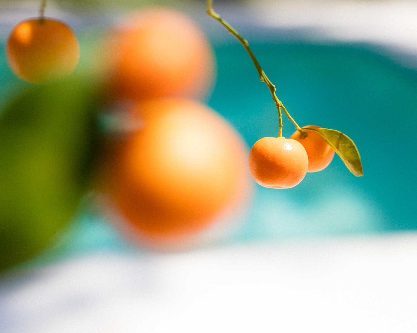 Florida oranges against pool | Editorial Travel Photographer